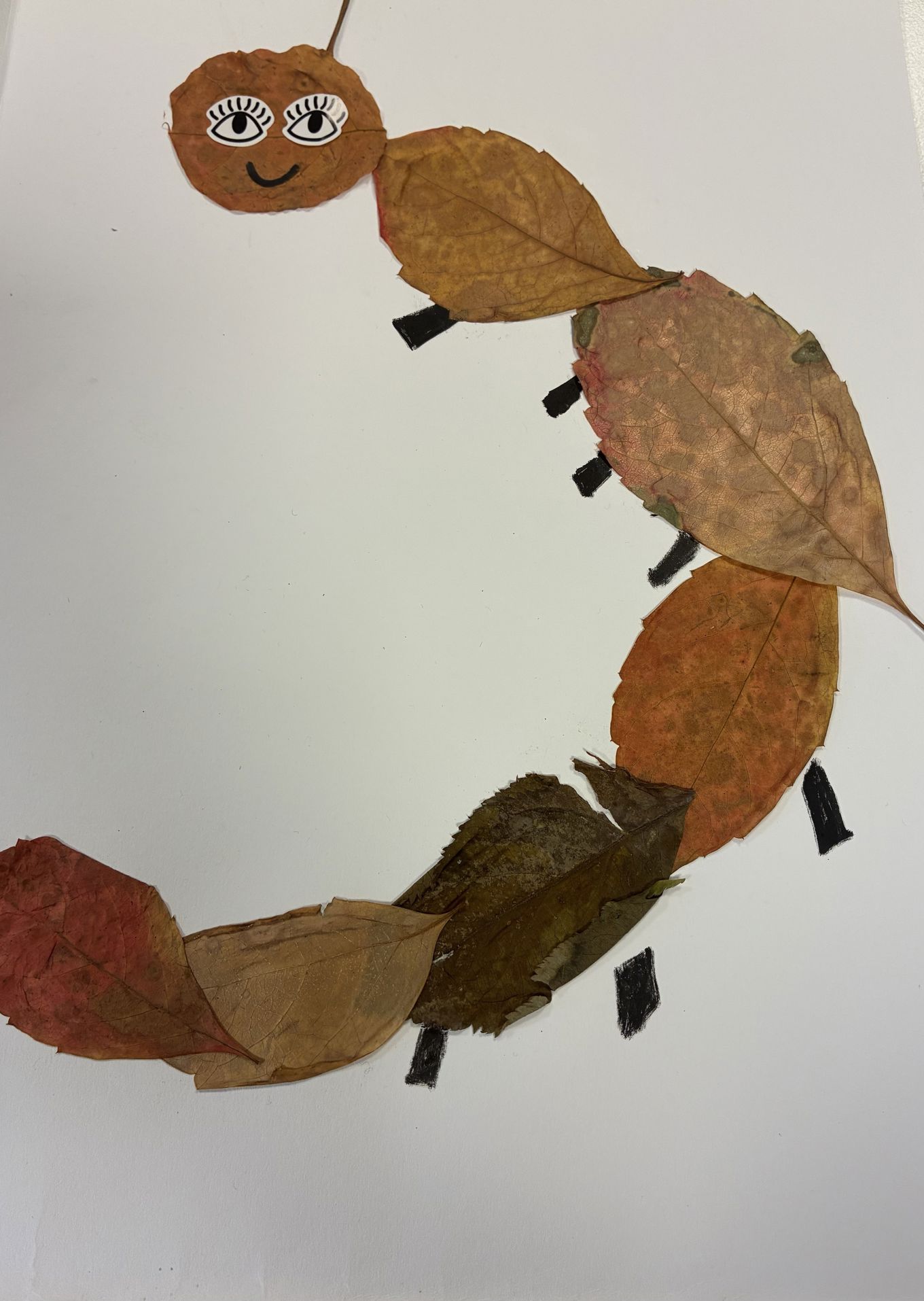 Et nærbilde av et blad Et nærbilde av et blad