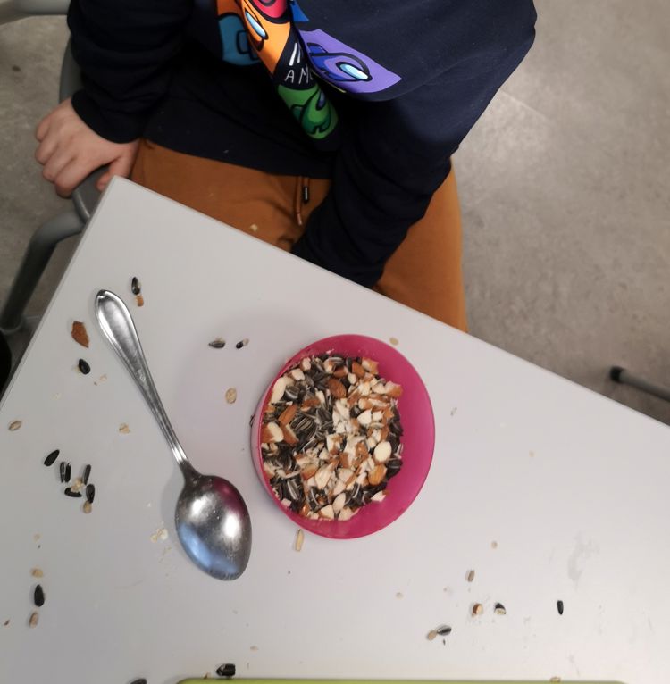 Foto: Kine Revheim Fuglemat