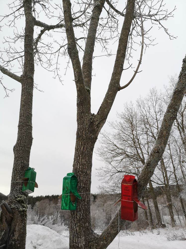 Foto: Kine revheim Fuglemat i tre